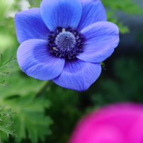 CANON(キヤノン)のデジタル一眼EOS 40D で撮影した写真(画像)一覧