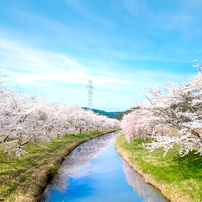 OLYMPUS(オリンパス)のレンズ M.ZUIKO DIGITAL 14-42mm F3.5-5.6 II R