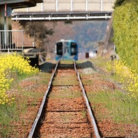 CANON(キヤノン)のデジタル一眼EOS Kiss X7 で撮影した写真(画像)一覧