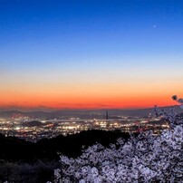 デジタルカメラ CANON EOS60D+TAMROM AF 18-270mm VC B003 Amazon.co.jp: TAMRON 高倍率ズームレンズ 18-270mm F3.5-6.3 DiII VC