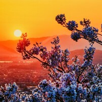 CANON(キヤノン)のデジタル一眼EOS Kiss X7 で撮影した写真(画像)一覧