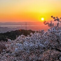 TAMRON(タムロン)のレンズ AF18-270mm F/3.5-6.3 Di II VC LD