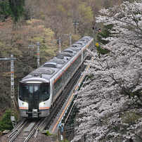 SIGMA(シグマ)のレンズ 70-200mm F2.8 DG OS HSM [ニコン用] で撮影