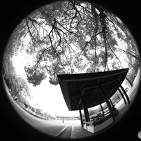 sigma 8mmフィッシュアイ 3Dパノラマ雲台セット　キャノン用 シグマ8mm F3.5 EX円周魚眼レンズ ニコン用