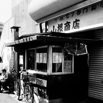 CANON(キヤノン)のフィルムカメラEOS Kiss III で撮影した写真(画像