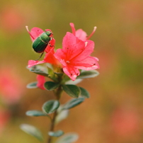 PANASONIC(パナソニック)のレンズ LUMIX S 50mm F1.8 S-S50 で撮影した