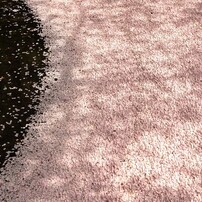 SONY(ソニー)のレンズ E 35mm F1.8 OSS SEL35F18 で撮影した写真(画像