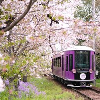 SONY(ソニー)のレンズ E 35mm F1.8 OSS SEL35F18 で撮影した写真(画像