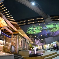 TOKINA(トキナー)のレンズ AT-X 107 DX Fish Eye 10-17mm F3.5-4.5