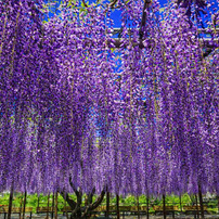 TAMRON(タムロン)のレンズ 10-24mm F/3.5-4.5 Di II VC HLD (Model