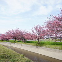 SONY(ソニー)のレンズ E16mm F2.8 SEL16F28 で撮影した写真(画像)一覧