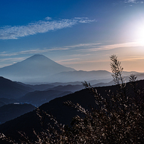 PENTAX(ペンタックス)のレンズ smc PENTAX-DA 35mm F2.8 Macro Limited