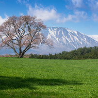 NIKON(ニコン)のレンズ Ai AF-S Zoom Nikkor ED 80-200mm F2.8D(IF