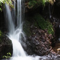 PANASONIC(パナソニック)のレンズ LEICA D VARIO-ELMAR 14-150mm/F3.5