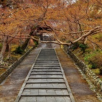 CANON(キヤノン)のデジタル一眼EOS 9000D で撮影した写真(画像)一覧