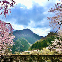 CANON(キヤノン)のレンズ EF-S10-22mm F3.5-4.5 USM で撮影した写真