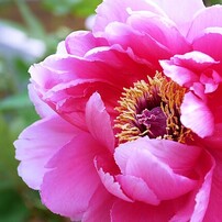 PANASONIC(パナソニック)のミラーレス一眼LUMIX DMC-G8 で撮影した写真