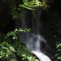PANASONIC(パナソニック)のレンズ LEICA D VARIO-ELMAR 14-150mm/F3.5