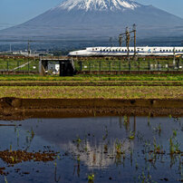 TAMRON(タムロン)のレンズ SP AF 17-50mm F/2.8 XR Di II LD