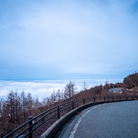 NIKON(ニコン)のレンズ NIKKOR Z 17-28mm f/2.8 で撮影した写真(画像
