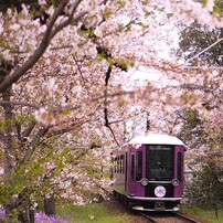 SONY(ソニー)のレンズ E 35mm F1.8 OSS SEL35F18 で撮影した写真(画像