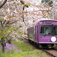 SONY(ソニー)のレンズ E 35mm F1.8 OSS SEL35F18 で撮影した写真(画像