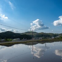 NIKON(ニコン)のレンズ Ai AF Nikkor 20mm f/2.8D で撮影した写真(画像