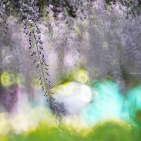 KENKO(ケンコー)のレンズ ケンコーミラーレンズ 500mm F6.3DX で撮影