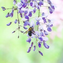 CANON(キヤノン)のデジタル一眼EOS Kiss X7 で撮影した写真(画像)一覧