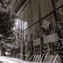 SONY(ソニー)のレンズ Vario-Sonnar T＊ DT 16-80mm F3.5-4.5 ZA