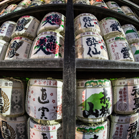 SAMYANG(サムヤン)のレンズ 12mm F2.8 ED AS NCS FISH-EYE [ソニーE用
