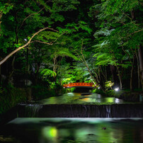 TAMRON(タムロン)のレンズ SP 15-30mm F/2.8 Di VC USD (Model A012