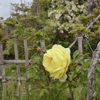 TAMRON(タムロン)のレンズ SP 15-30mm F/2.8 Di VC USD (Model A012