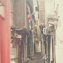 MINOLTA(ミノルタ)のフィルムカメラα-360si で撮影した写真(画像)一覧