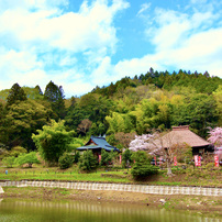 CANON(キヤノン)のレンズ EF-S10-22mm F3.5-4.5 USM で撮影した写真