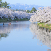 NIKON(ニコン)のレンズ NIKKOR Z 70-200mm f/2.8 VR S で撮影した写真