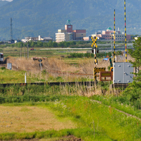 TAMRON(タムロン)のレンズ SP 70-300mm F/4-5.6 Di VC USD (Model A005