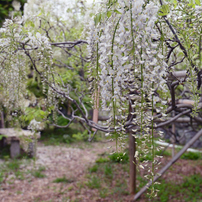 TAMRON(タムロン)のレンズ SP 15-30mm F/2.8 Di VC USD (Model A012