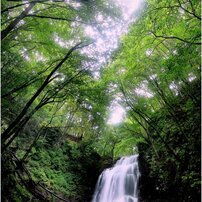 CANON(キヤノン)のレンズ EF17-40mm F4L USM で撮影した写真(画像)一覧