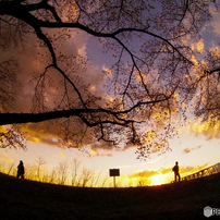 PENTAX(ペンタックス)のレンズ PENTAX-03 FISH-EYE で撮影した写真