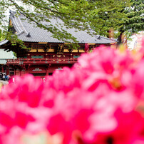 PENTAX(ペンタックス)のレンズ smc PENTAX-DA 21mmF3.2AL Limited で