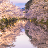 NIKON(ニコン)のレンズ NIKKOR Z 70-200mm f/2.8 VR S で撮影した写真