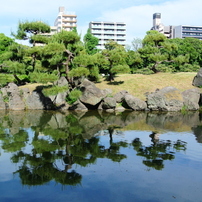 NIKON(ニコン)のミラーレス一眼Nikon 1 V1 で撮影した写真(画像)一覧