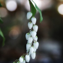 CANON(キヤノン)のデジタル一眼EOS 9000D で撮影した写真(画像)一覧