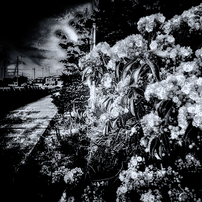 RICOH(リコー)のデジタルカメラGR DIGITAL III で撮影した写真(画像