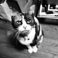 CANON(キヤノン)のレンズ EF28mm F2.8 で撮影した写真(画像)一覧- 写真