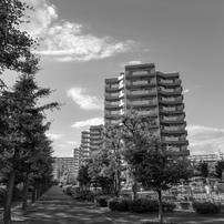 SIGMA(シグマ)のレンズ 10-20mm F4-5.6 EX DC HSM (ﾆｺﾝ AF) で撮影した