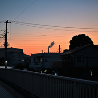 COSINA(コシナ)のレンズ フォクトレンダー APO-LANTHAR 50mm F2