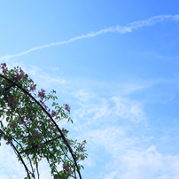 CANON(キヤノン)のレンズ EF-S24mm F2.8 STM で撮影した写真(画像)一覧