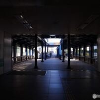 RICOH(リコー)のデジタルカメラGR DIGITAL III で撮影した写真(画像